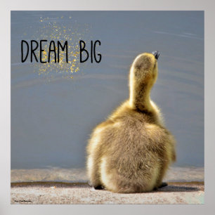 Dream Big Motivierend Poster