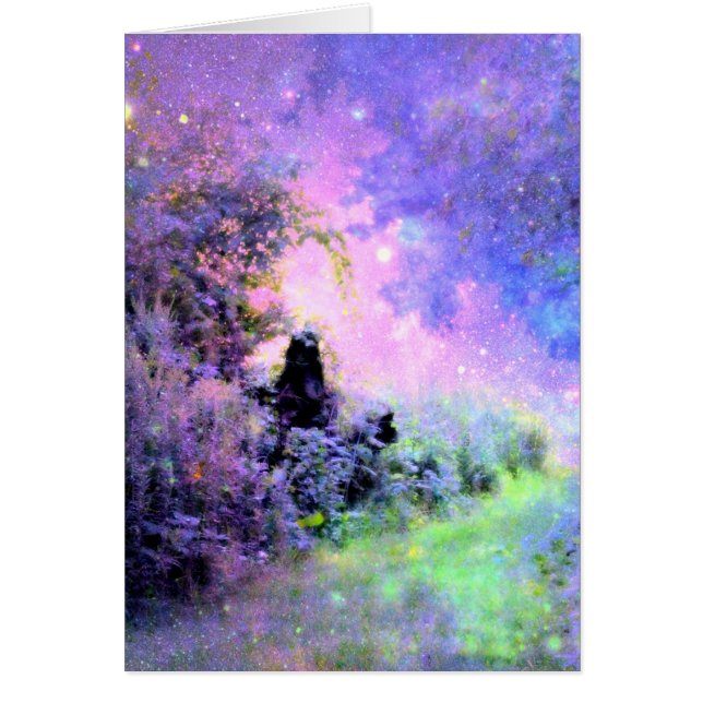 Dream Garden Light (Vorne)