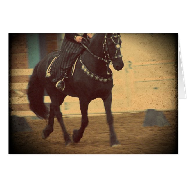Dream Horse Friesian Dressage (Vorderseite (Horizontal))