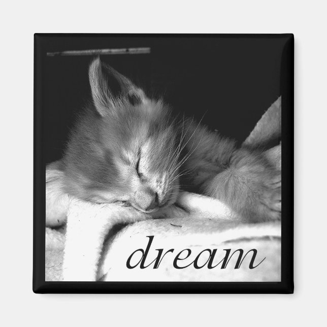 Dream Kitten - Magnet (Vorne)