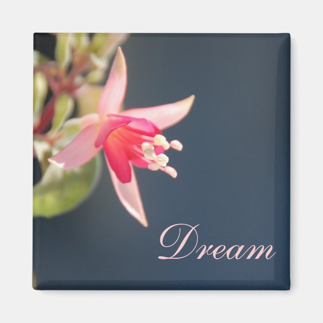 Dream Magnet (Vorne)