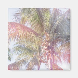 Dream Palm Tree Magnet