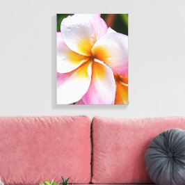 Dream Vorlage: franjipani flower Leinwanddruck