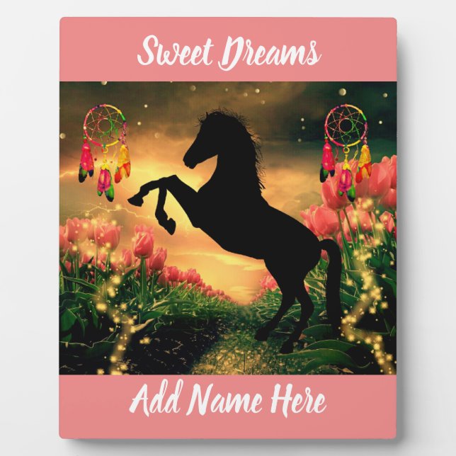 Dreamcatcher Fotoplatte (Vorderseite)