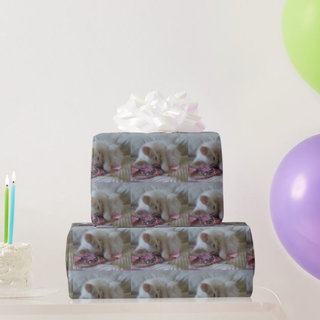 Dreamcatcher Kitten Wrapping Paper Geschenkpapier (Partygeschenke)