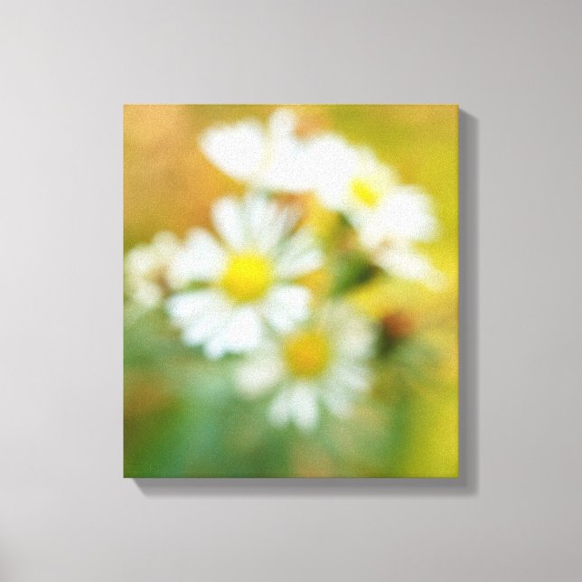 Dreamin' Daisies Leinwanddruck (Vorderseite)