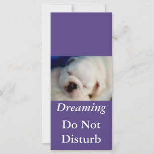 Dreaming Bulldog stört nicht