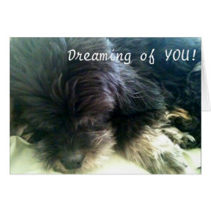 DREAMING IHNEN - LIEBE