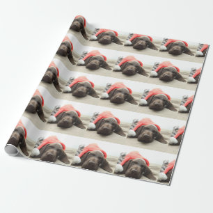 Dreaming of Santa - German Shorthair Puppy Geschenkpapier