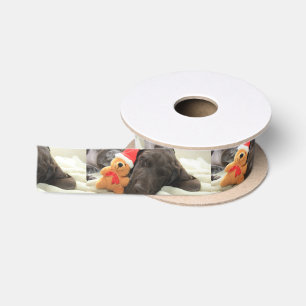 Dreaming of Santa - German Shorthair Puppy Satinband