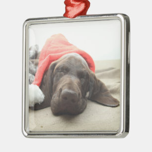 Dreaming of Santa - German Shorthair Puppy Silbernes Ornament