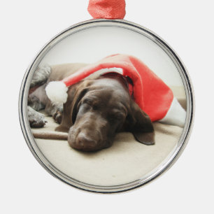 Dreaming of Santa - German Shorthair Puppy Silbernes Ornament