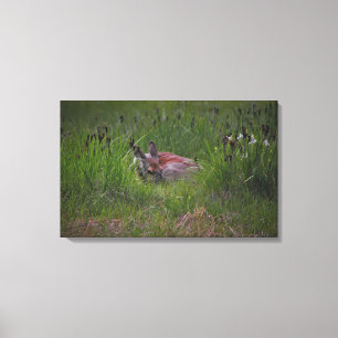 Dreamland Leinwanddruck