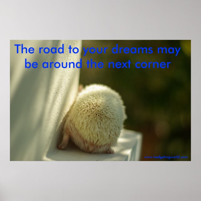Dreams Poster (Vorne)
