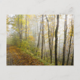 Dreamy autumn park postkarte