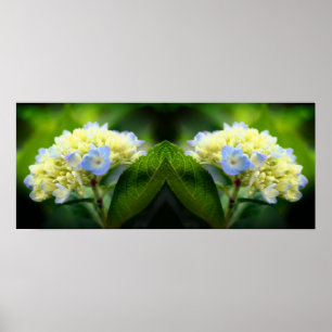 Dreamy Blue Hydrangea Blume Mirror Abstrakt Poster