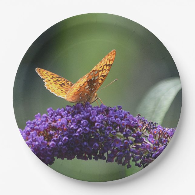 Dreamy Butterfly Plate Pappteller (Vorderseite)