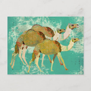 Dreamy Camels Postcard Postkarte