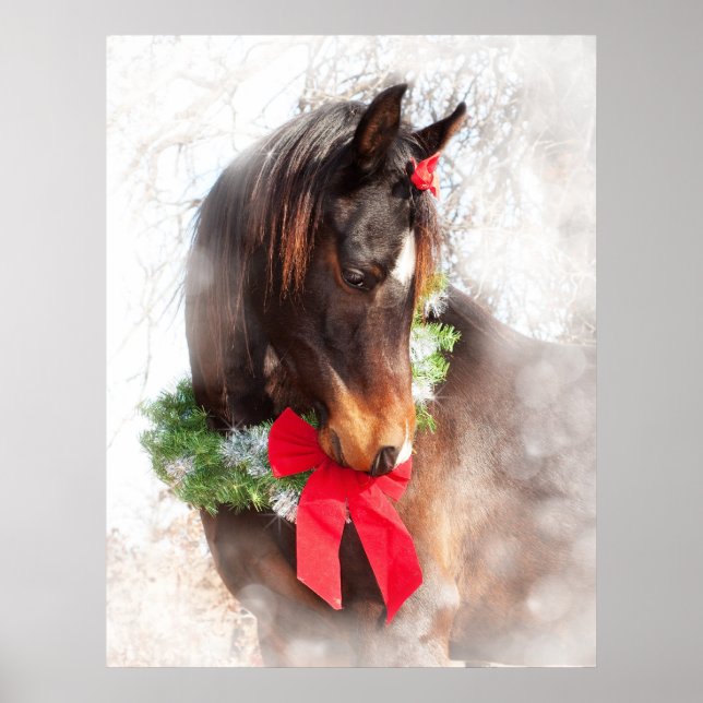 Dreamy Christmas Horse Poster (Vorne)