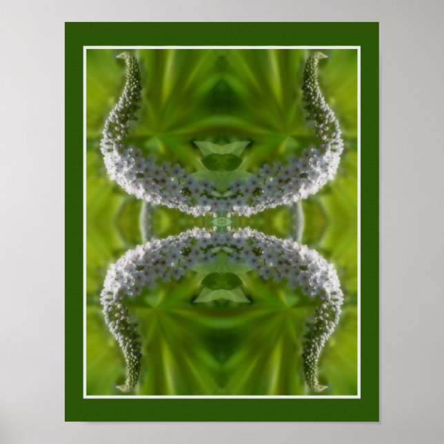 Dreamy Curling White Wild Blume Abstrakt Poster (Vorne)
