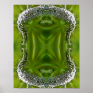 Dreamy Curling White Wildblume Abstrakt Poster