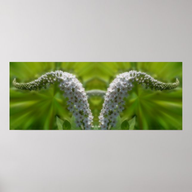 Dreamy Curling White Wildblume Mirror Abstrakt Poster (Vorne)