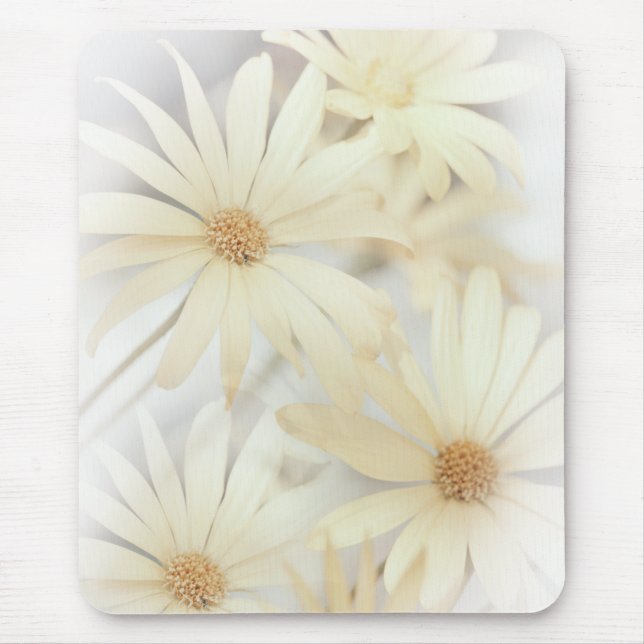 Dreamy Daisies 2 Mousepad (Vorne)
