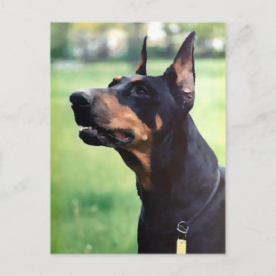 Dreamy Doberman Pinscher Face Painting Postkarte