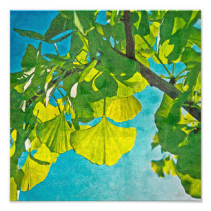 Dreamy Fans Fotodruck