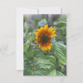 Dreamy Little Sunflower Mitteilungskarte