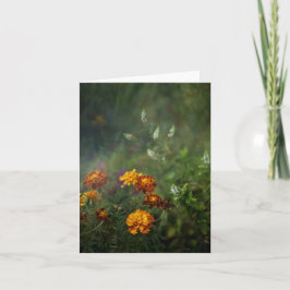 Dreamy marigold fine art photo karte