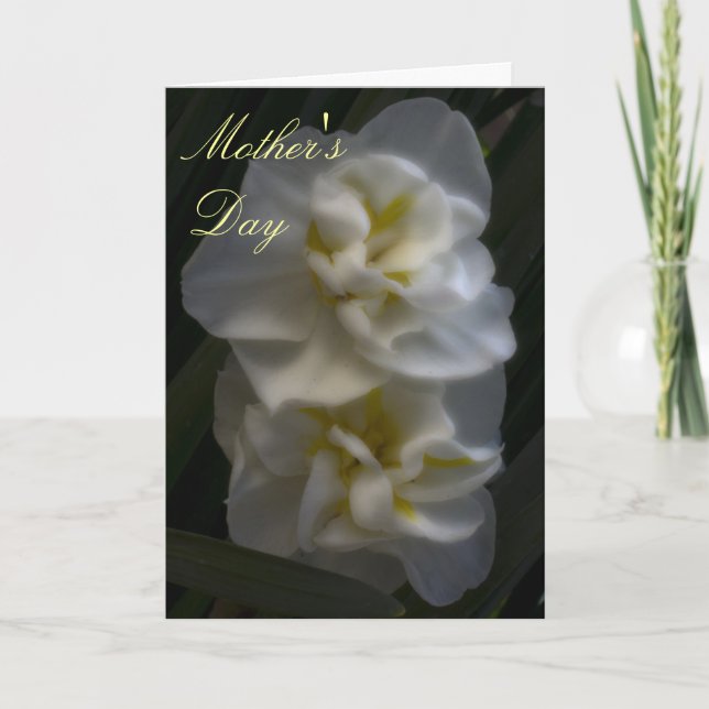 Dreamy Narcissus Daffodils Mama Day Karte (Vorderseite)