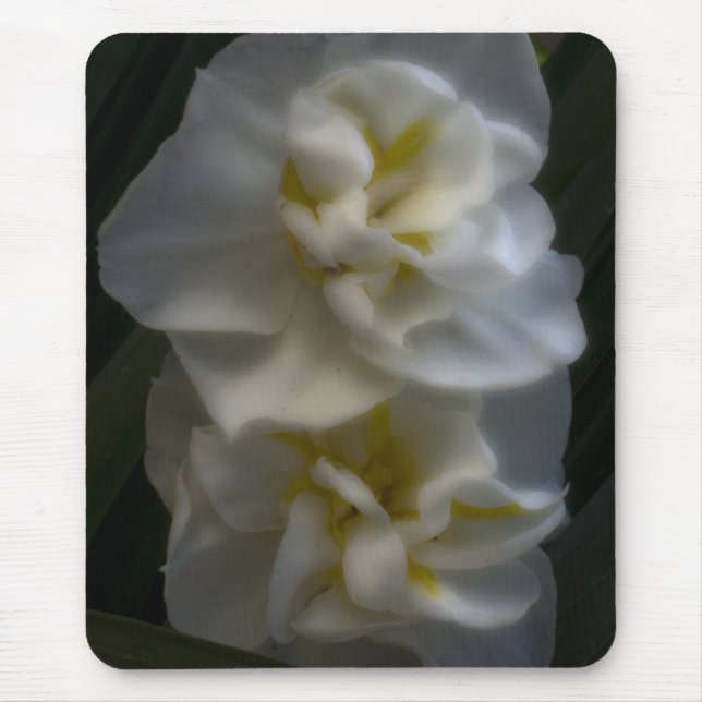 Dreamy Narcissus Mousepad (Vorne)