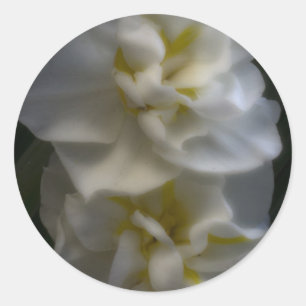 Dreamy Narcissus Runder Aufkleber
