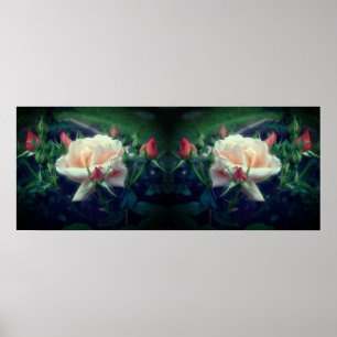 Dreamy Peach Rose und Buds Mirror Abstrakt Poster