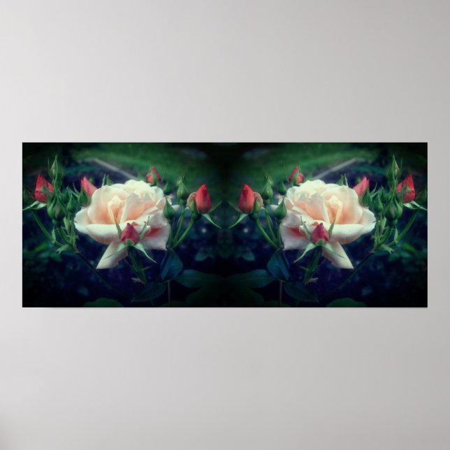 Dreamy Peach Rose und Buds Mirror Abstrakt Poster (Vorne)