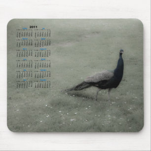 Dreamy Peacock Mousepad
