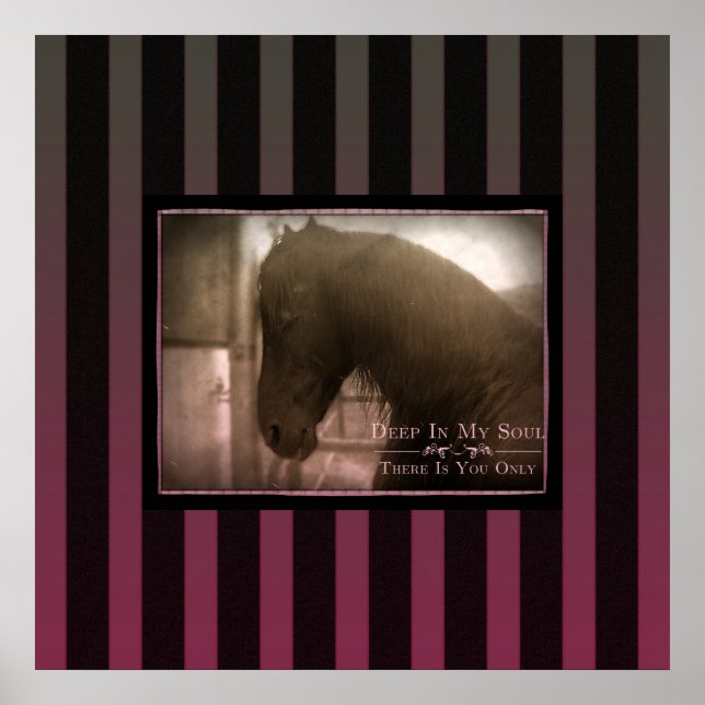 Dreamy - Poster (Vorne)