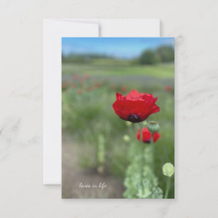 Dreamy Red Poppy Mitteilungskarte