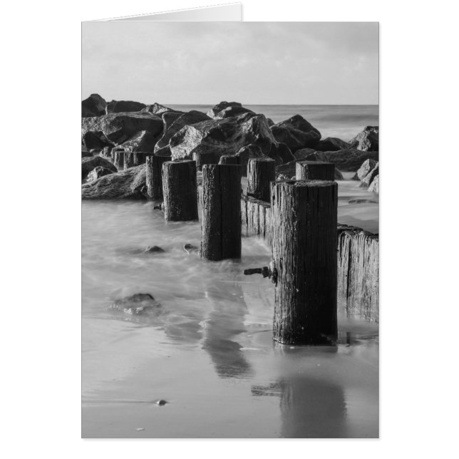 Dreamy Seawall Grayscale (Vorne)