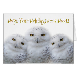 Dreamy Snowy Owls Weihnachtsfamilie Haben Sie eine