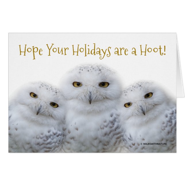 Dreamy Snowy Owls Weihnachtsfamilie Haben Sie eine (Vorderseite (Horizontal))