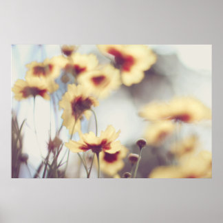 Dreamy Soft Yellow Helenium Blume Poster