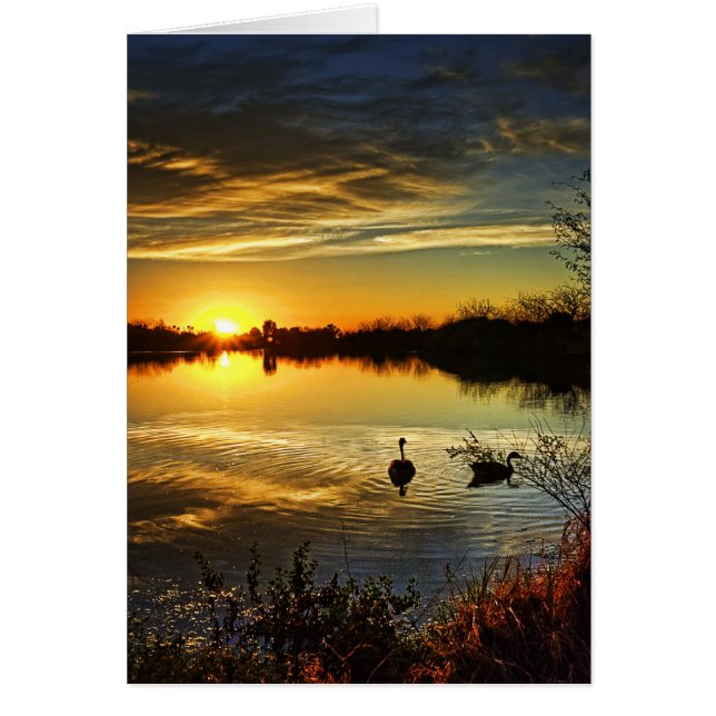 Dreamy Sunset (Vorne)