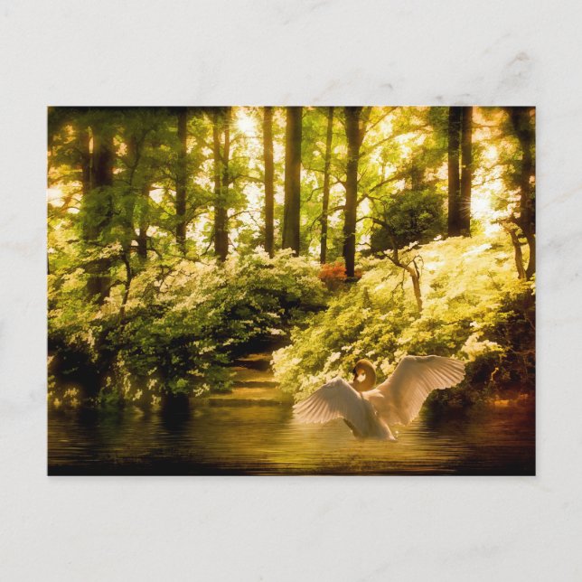 Dreamy Swan Postcard Postkarte (Vorderseite)