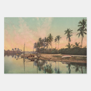 Dreamy Vintag Florida Scene Geschenkpapier Set