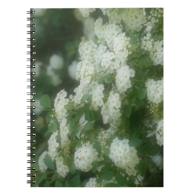 Dreamy Wild White Roses Blume Nature Notebook Notizblock (Vorderseite)