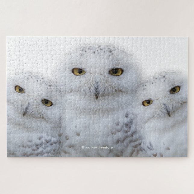 Dreamy Wisdom of Snowy Owls Puzzle (Horizontal)