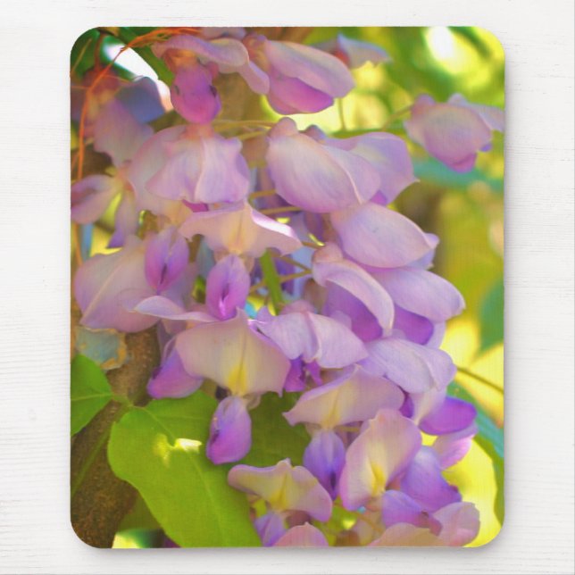 Dreamy Wisteria Blume Mousepad (Vorne)