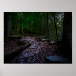 Dreamy Woodland mit Rock Trail Poster